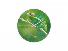 Часы настенные Nicole Time NT503 в Ужанихе - uzhaniha.mebel-nsk.ru | фото
